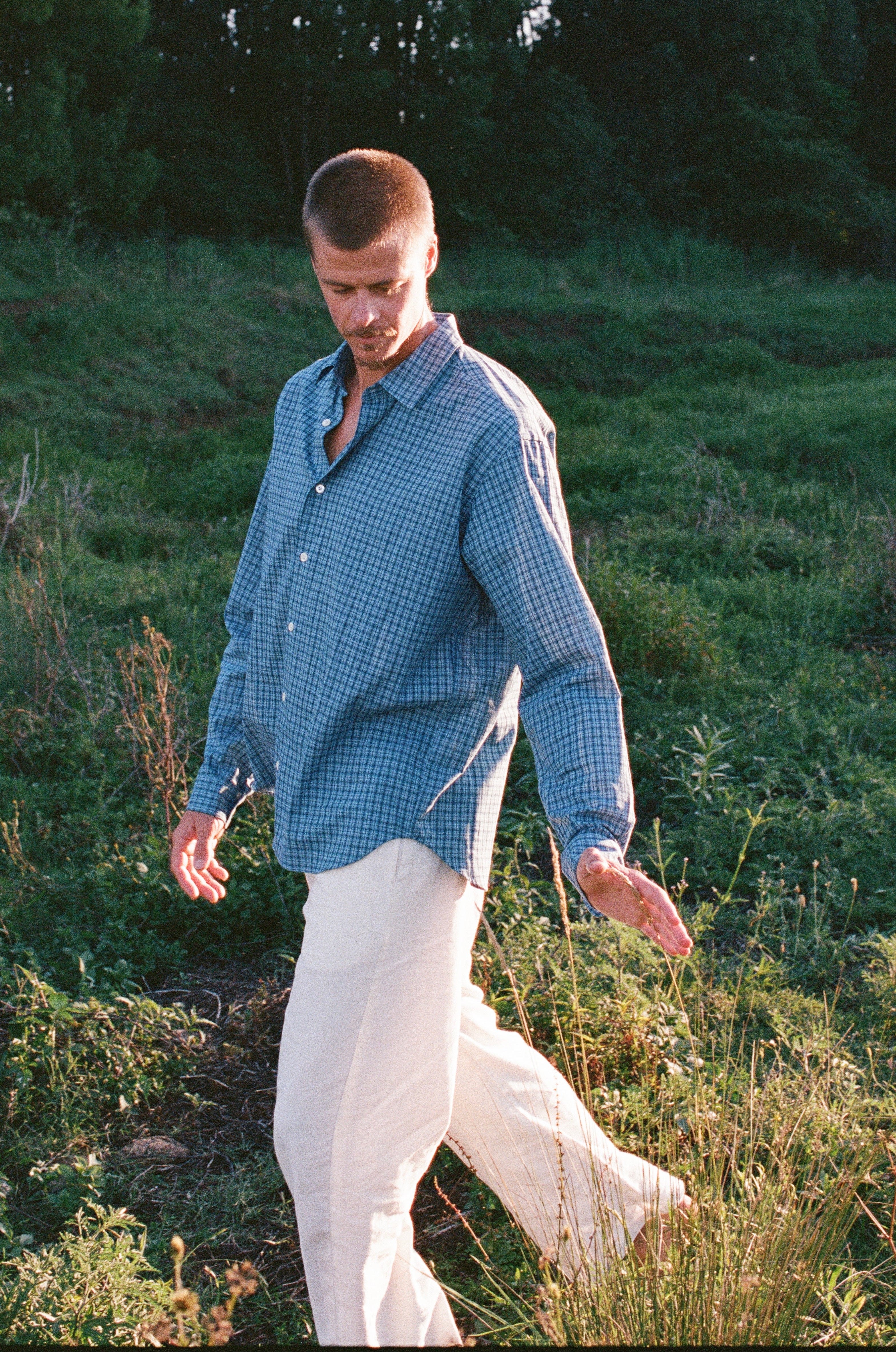 Noble Shirt in Dobby Check