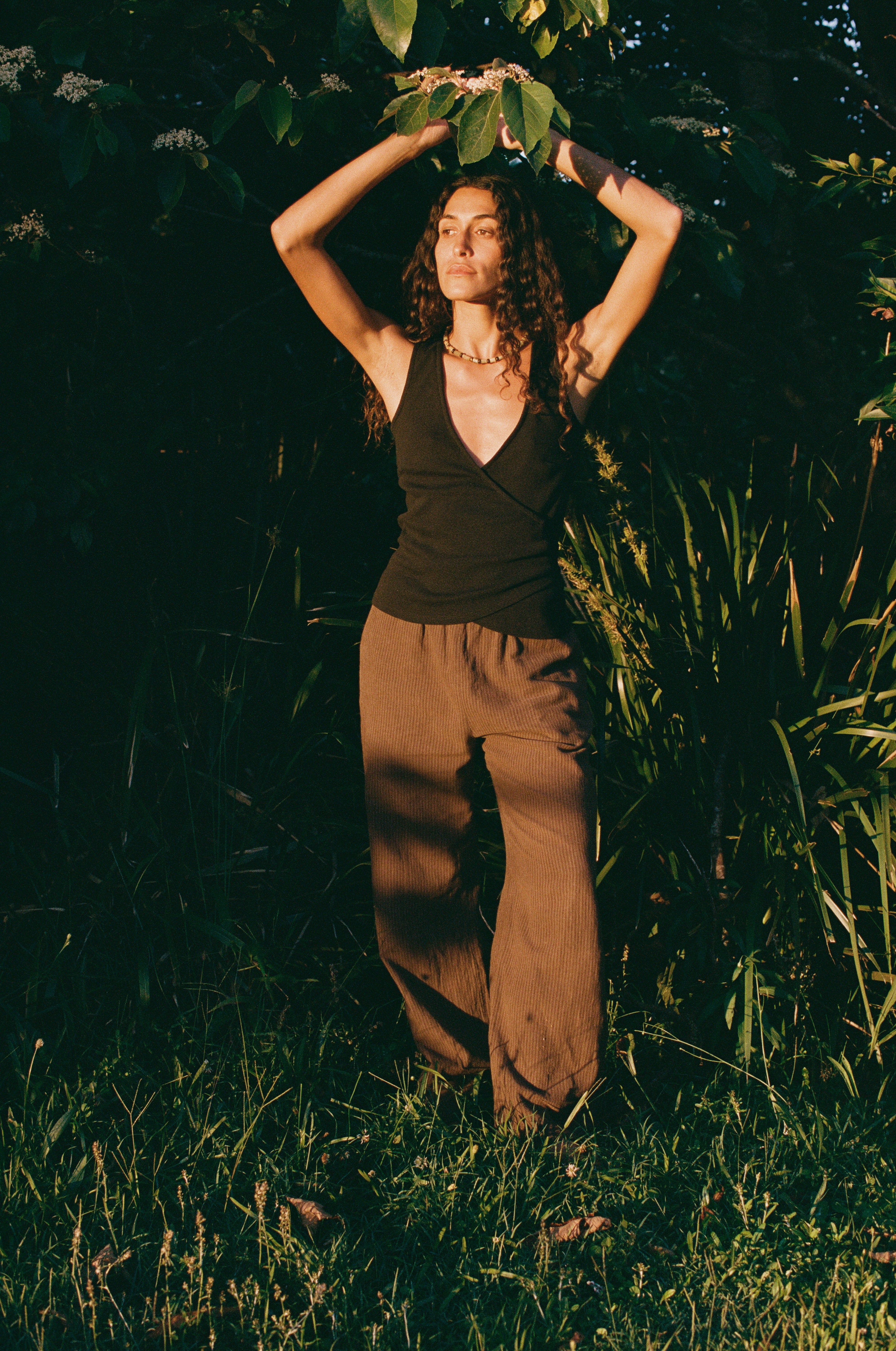 Deia Trouser in Umber Stripe