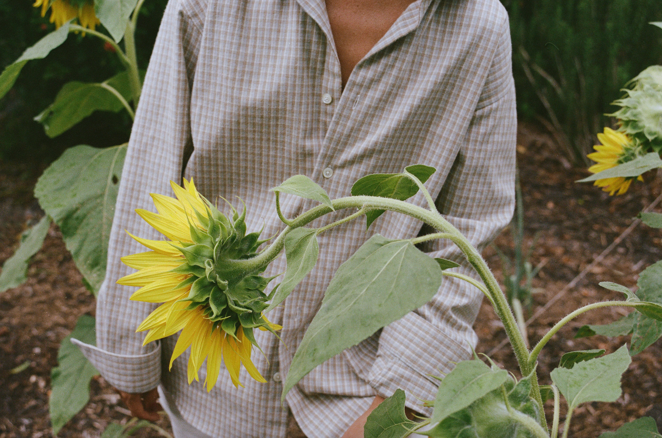 Garden Check Shirt